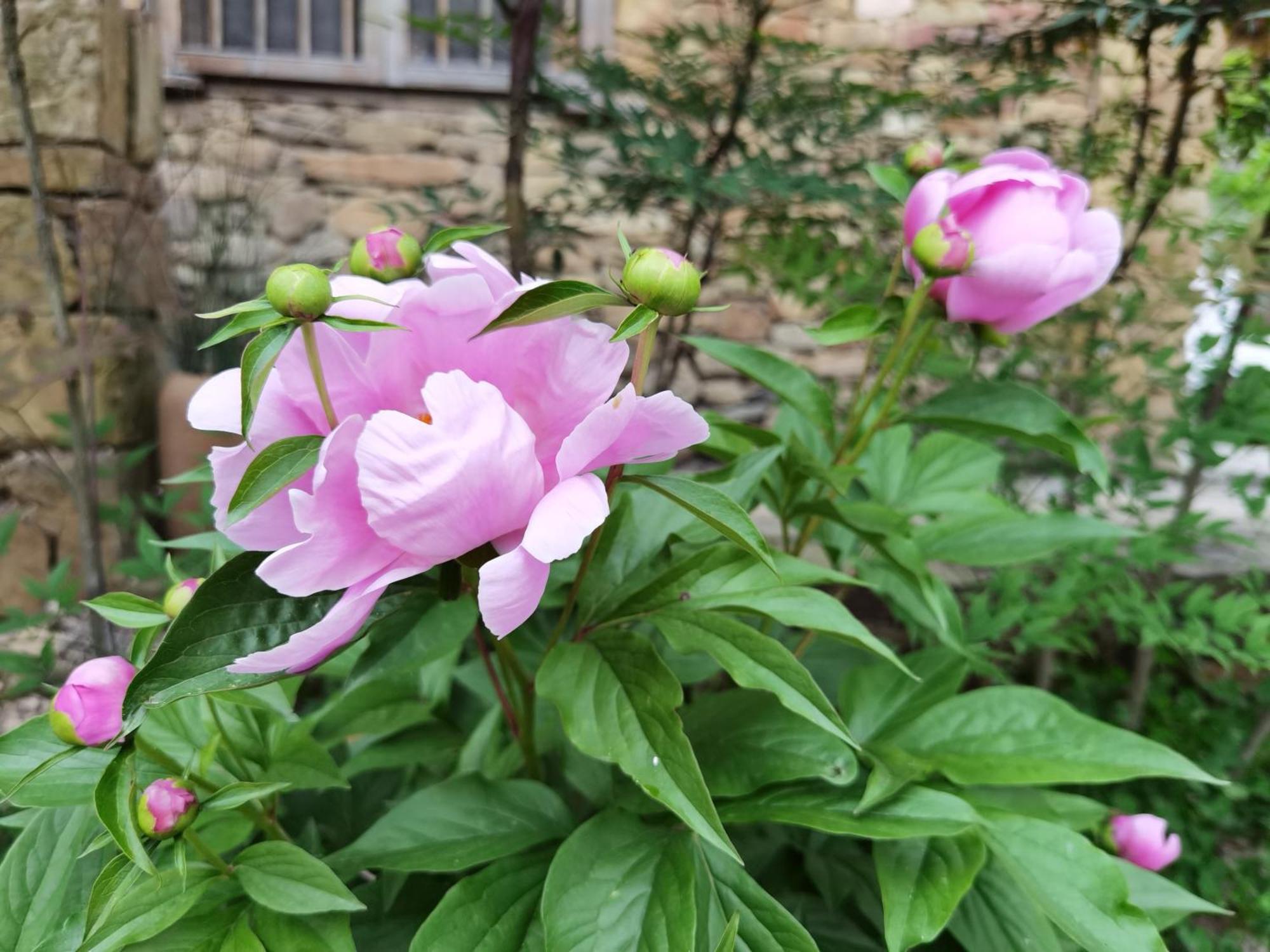 Dayong Antique Feature Resort Zhangjiajie Bagian luar foto