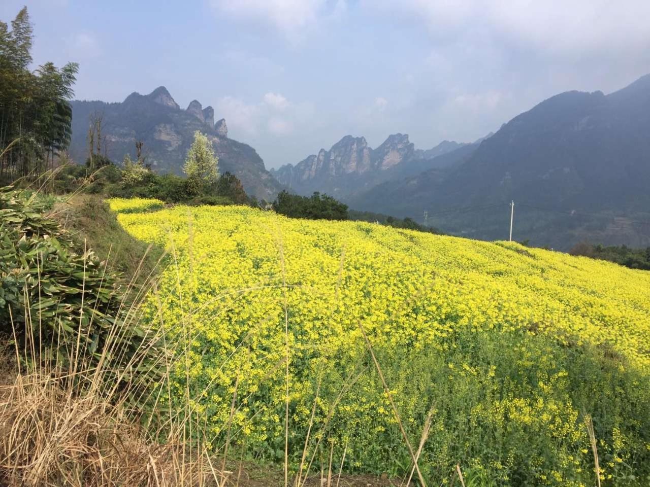 Dayong Antique Feature Resort Zhangjiajie Bagian luar foto