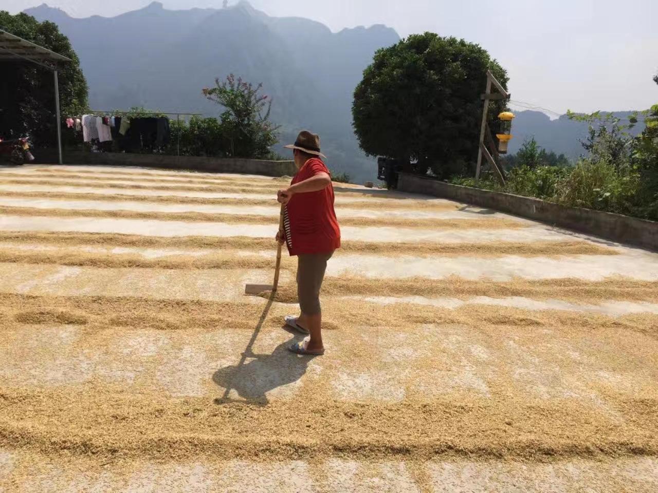Dayong Antique Feature Resort Zhangjiajie Bagian luar foto