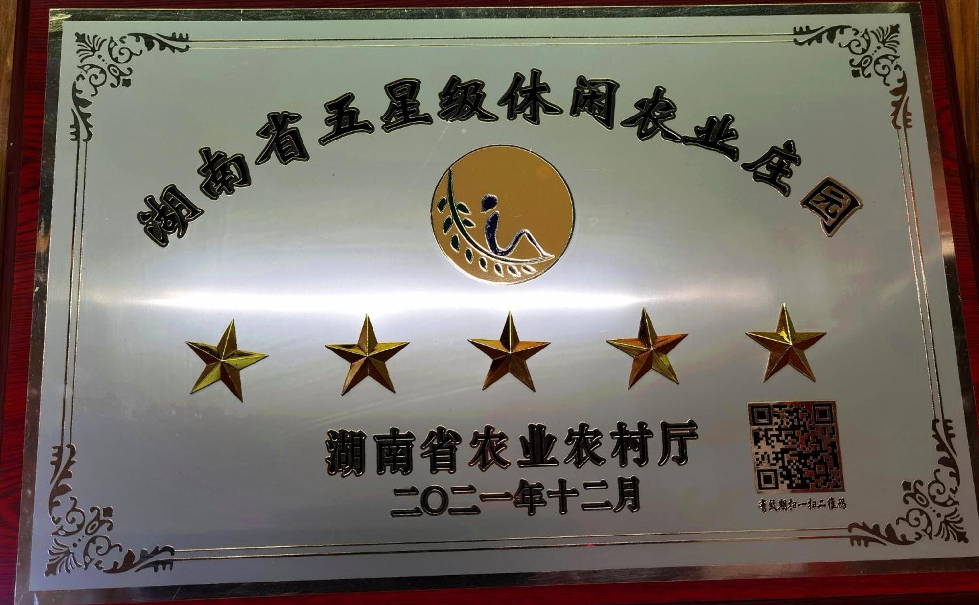 Dayong Antique Feature Resort Zhangjiajie Bagian luar foto