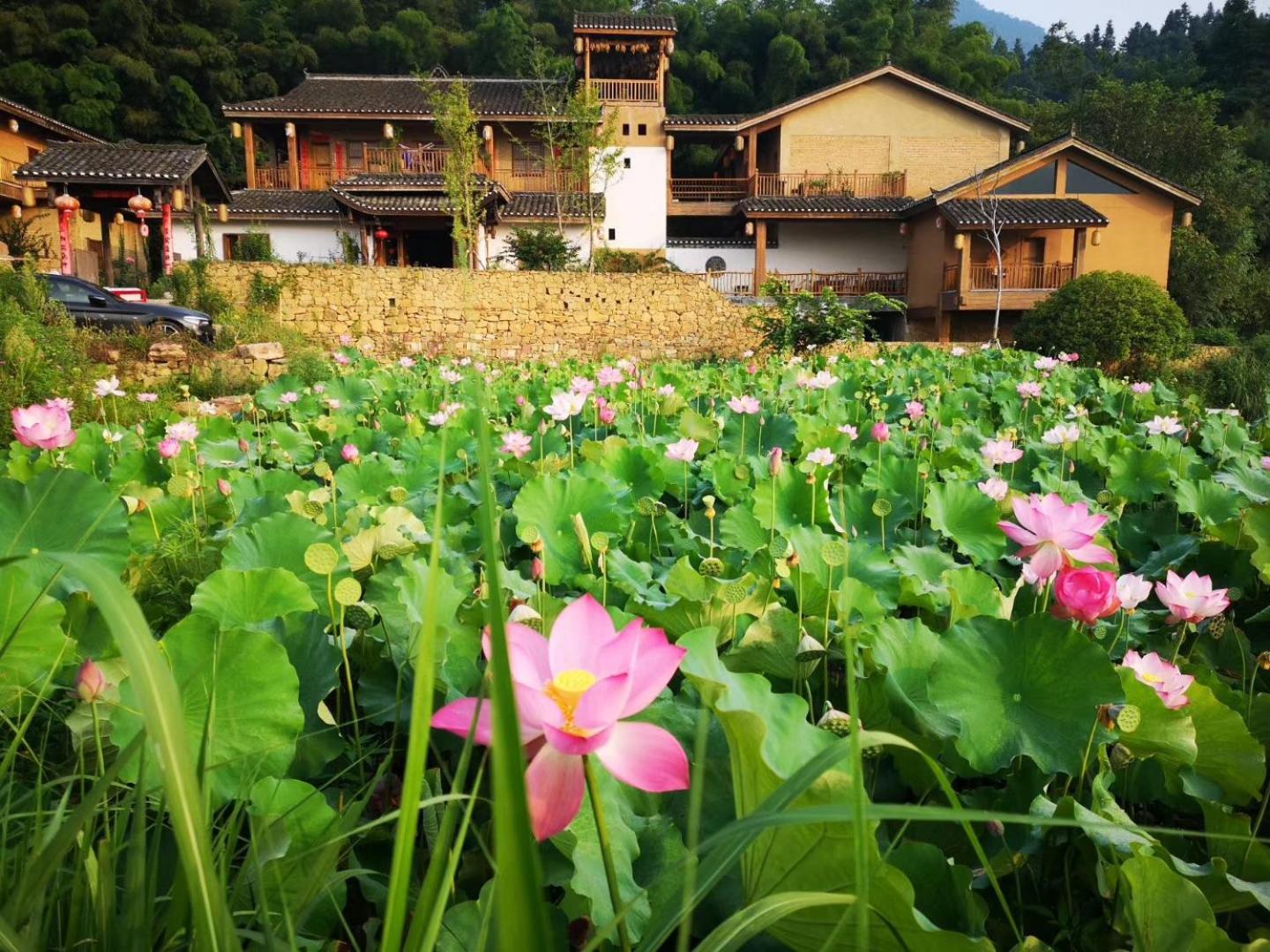 Dayong Antique Feature Resort Zhangjiajie Bagian luar foto